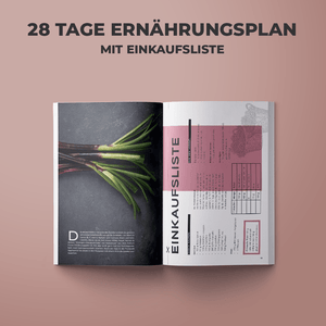 Fatburn Magazin und Workbook Bundle